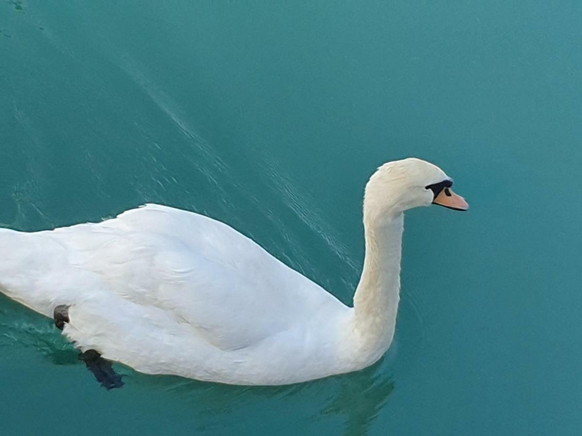Garda Felice Lejlighed Desenzano del Garda Eksteriør billede